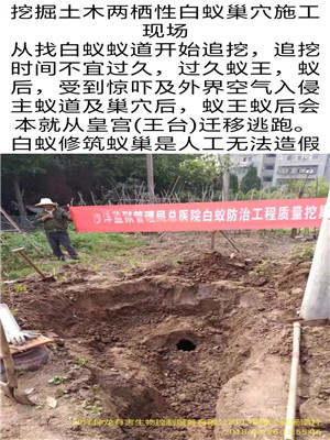 荊門白蟻防治中心介紹了建筑物白蟻的原因。-- 沙洋坤龍有害生物控制服務有限公司