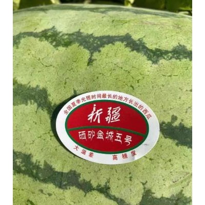 對于新疆大西瓜的種植要注意這些細節