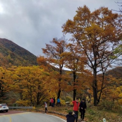 神農架包車在哪里找師傅靠譜