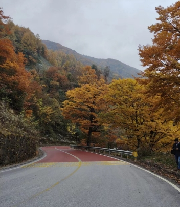 神龍架旅游包車打您領略神農架的春夏秋冬-- 神農架忠勝汽車服務有限公司