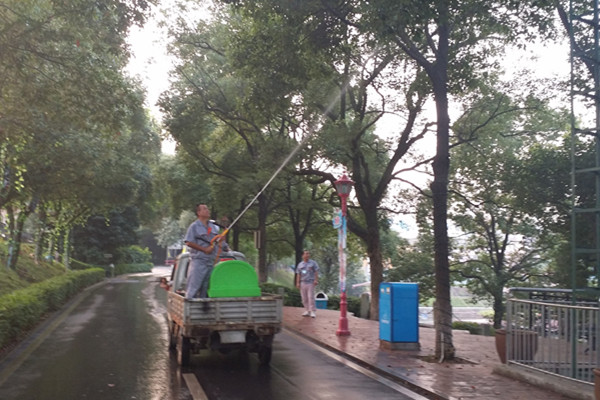 東鳳滅白蟻：守護家園，從點滴做起-- 中山市偉航白蟻蟲害防治有限公司