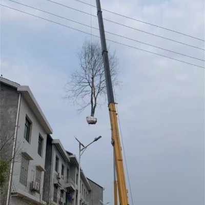 鄰水縣租吊車用于橋梁建設，有專業操